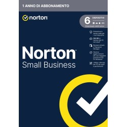 NORTON SMALL BUSINESS 1USER 6 DEV 250GB BACKUP 12 MESI