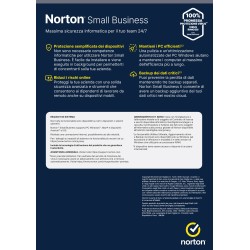 NORTON SMALL BUSINESS 1USER 20 DEV 250GB BACKUP 12 MESI
