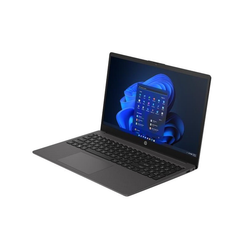 NOTEBOOK 250 G10 9B9R4EA WINDOWS 11 PRO