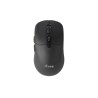 MOUSE WIRELESS BLUETOOTH DUAL MODE 6 PULSANTI 245123