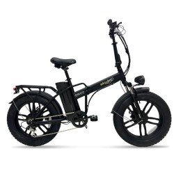 BICI ELETTRICA CON PEDALATA ASSISTITA E-BIKE ROBUSTO 20 - 250W - NERO