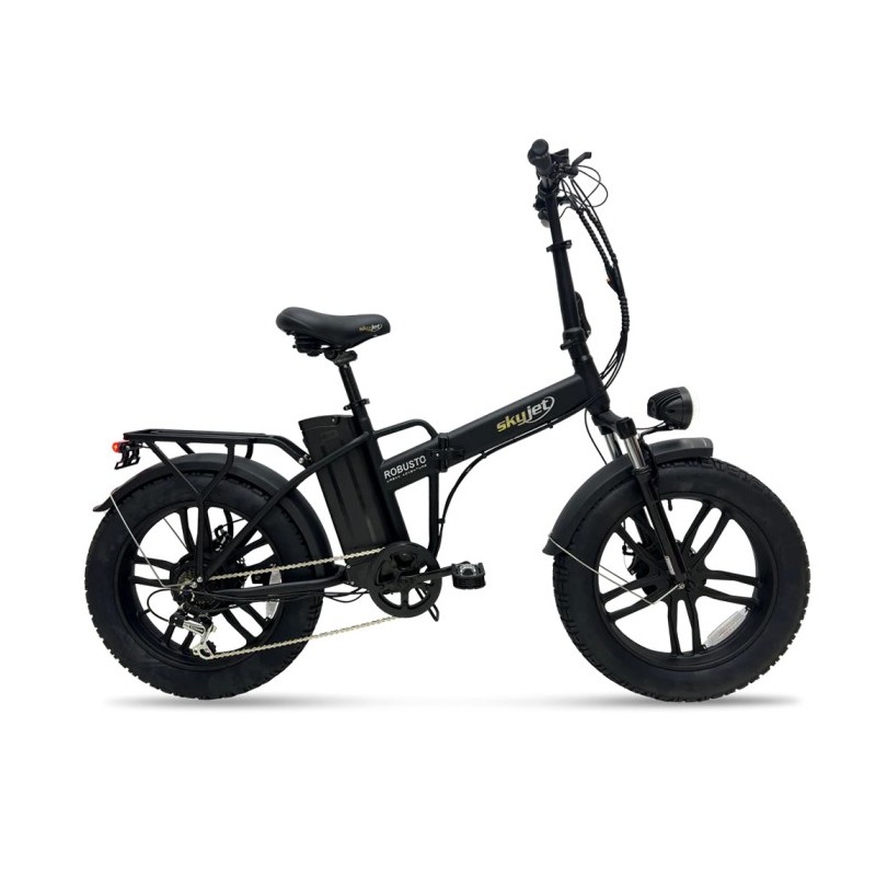 BICI ELETTRICA CON PEDALATA ASSISTITA E-BIKE ROBUSTO 20 - 250W - NERO