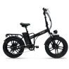 BICI ELETTRICA CON PEDALATA ASSISTITA E-BIKE ROBUSTO 20 - 250W - NERO