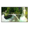 MON 43DS UHD 4K 350NIT 247 MM VESA 200X200 43UL3Q-EWEBOS WIFI