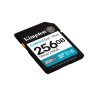 SECURE DIGITAL 256 GB CANVAS GO PLUS SDG4256GB CLASS10 UHS-I U3 V30
