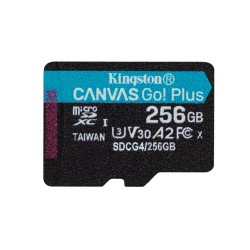 TRANS FLASH 256 GB CANVAS GO PLUS SDCG4256GB CLASS 10 CON ADATTATORE