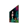 MON 55DS VA 4K 500NIT 40001 HDMI QM55C WIFI LAN MM