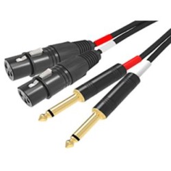 CAVO AUDIO 2 X XLR F  2 X 63MM - 3MT RDM C93