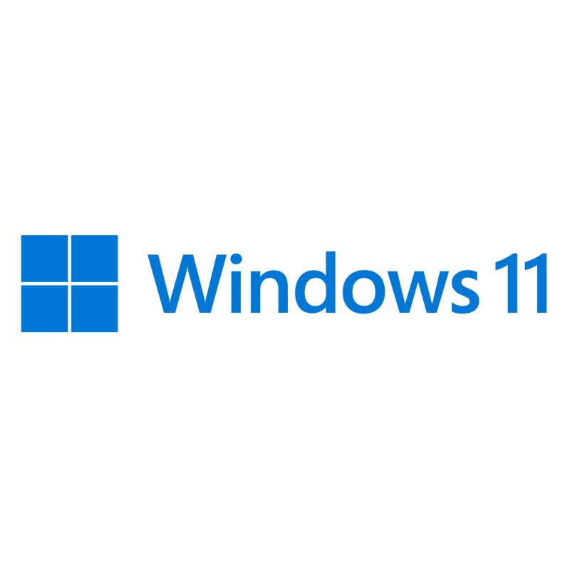 SW MS WINDOWS 11 PRO 64BIT 1PK DSP OEI DVD