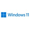 SW MS WINDOWS 11 PRO 64BIT 1PK DSP OEI DVD