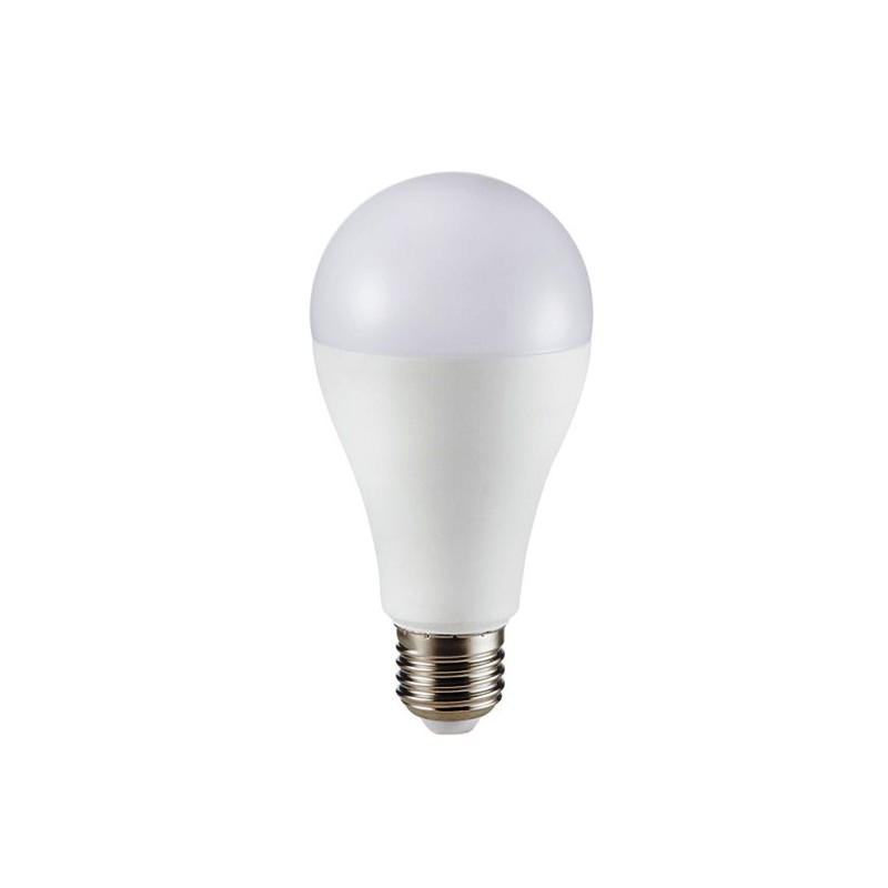 LAMPADINA A LED 15W E27 A65 6400K 161